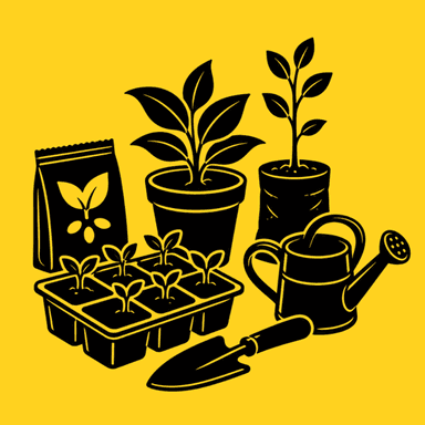 Seeds, Plants & Nursery