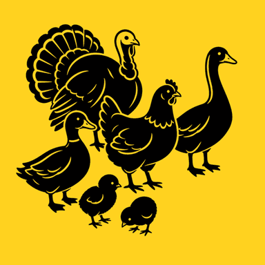 Poultry