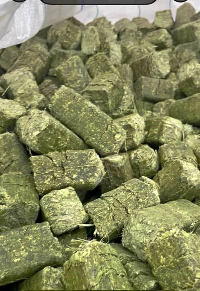 Alfalfa cubes (50lb bags)