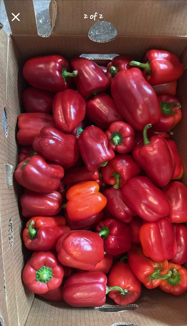 Red Bell pepper