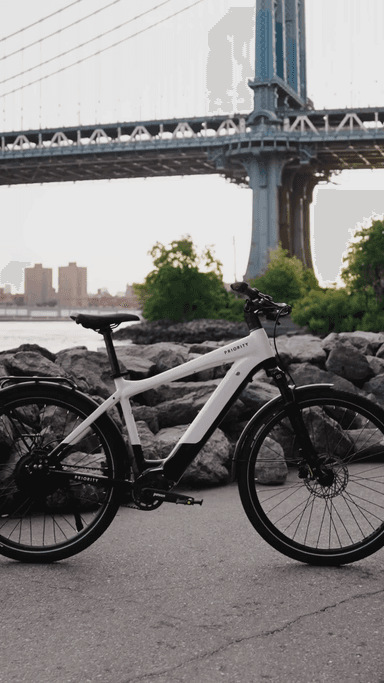 Priority BicycleSkyline Smart.Shift E-Bike